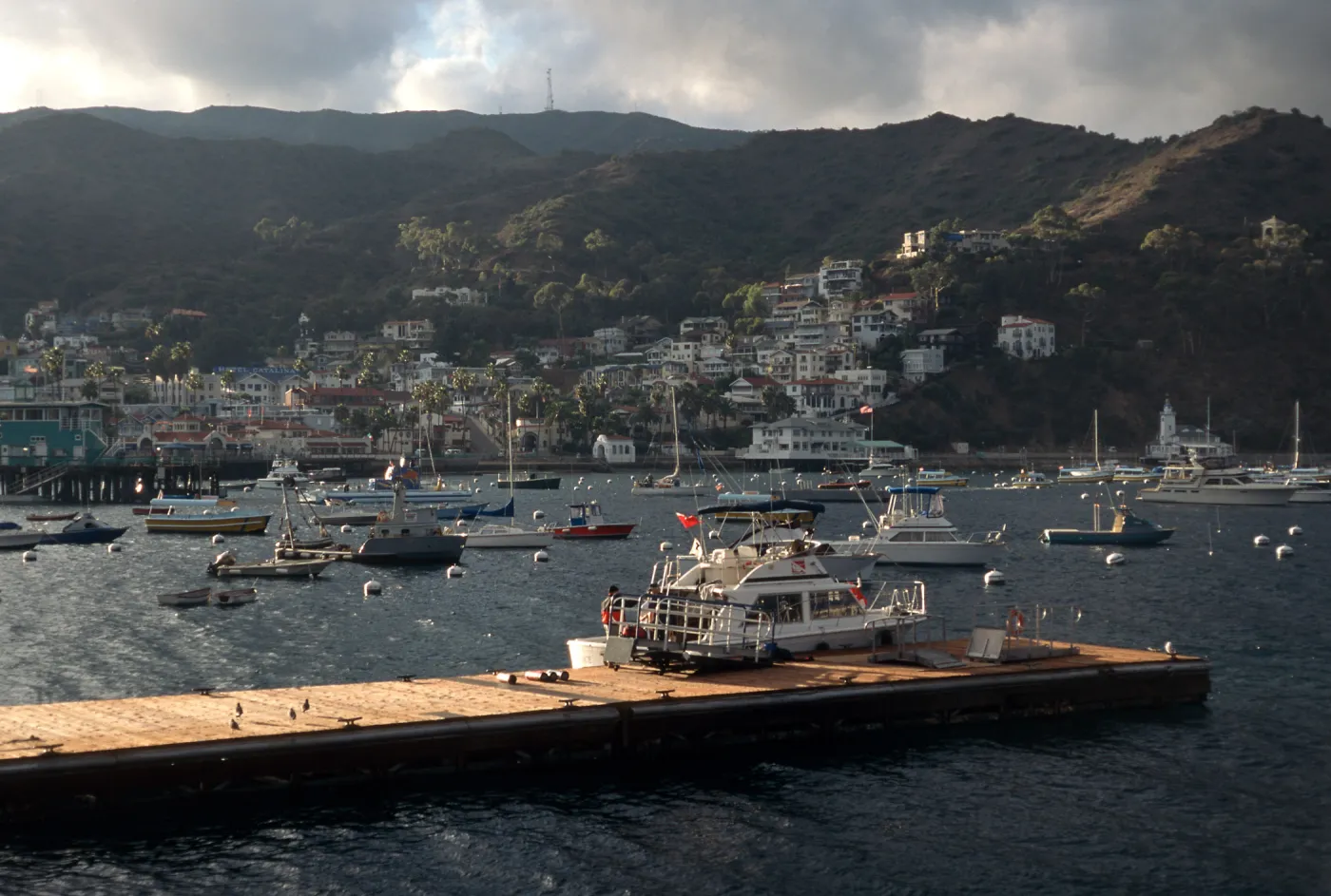 Avalon Harbor, Catalina Island