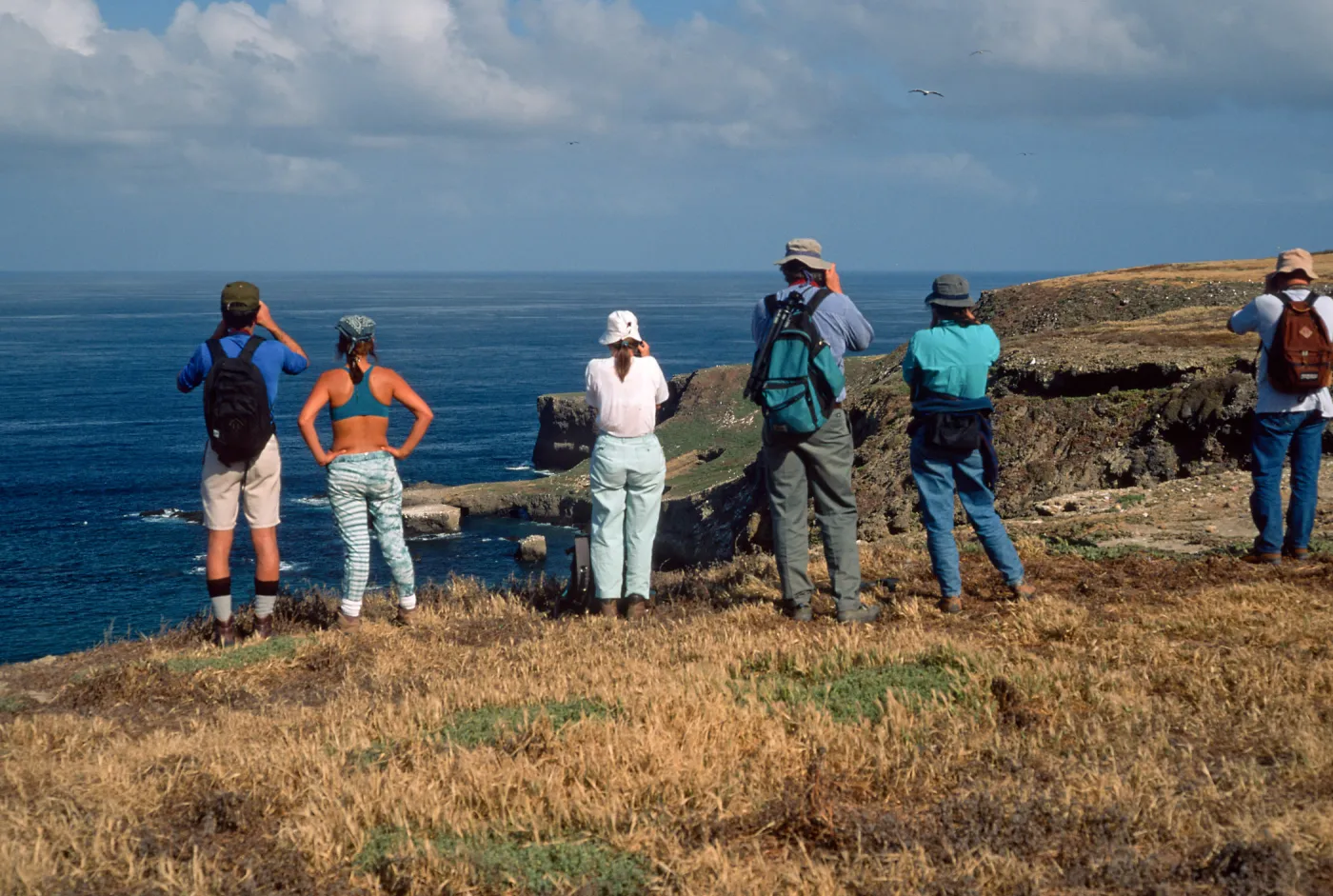 West side, Santa Barbara Island