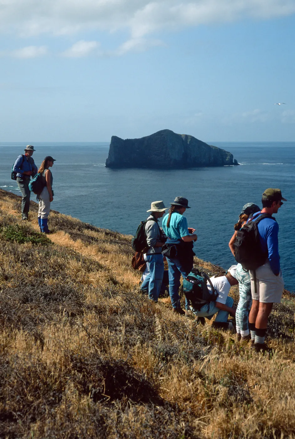 West side, Sutil Island, Santa Barbara Island