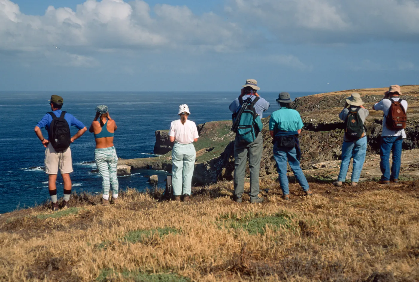 West side, Santa Barbara Island