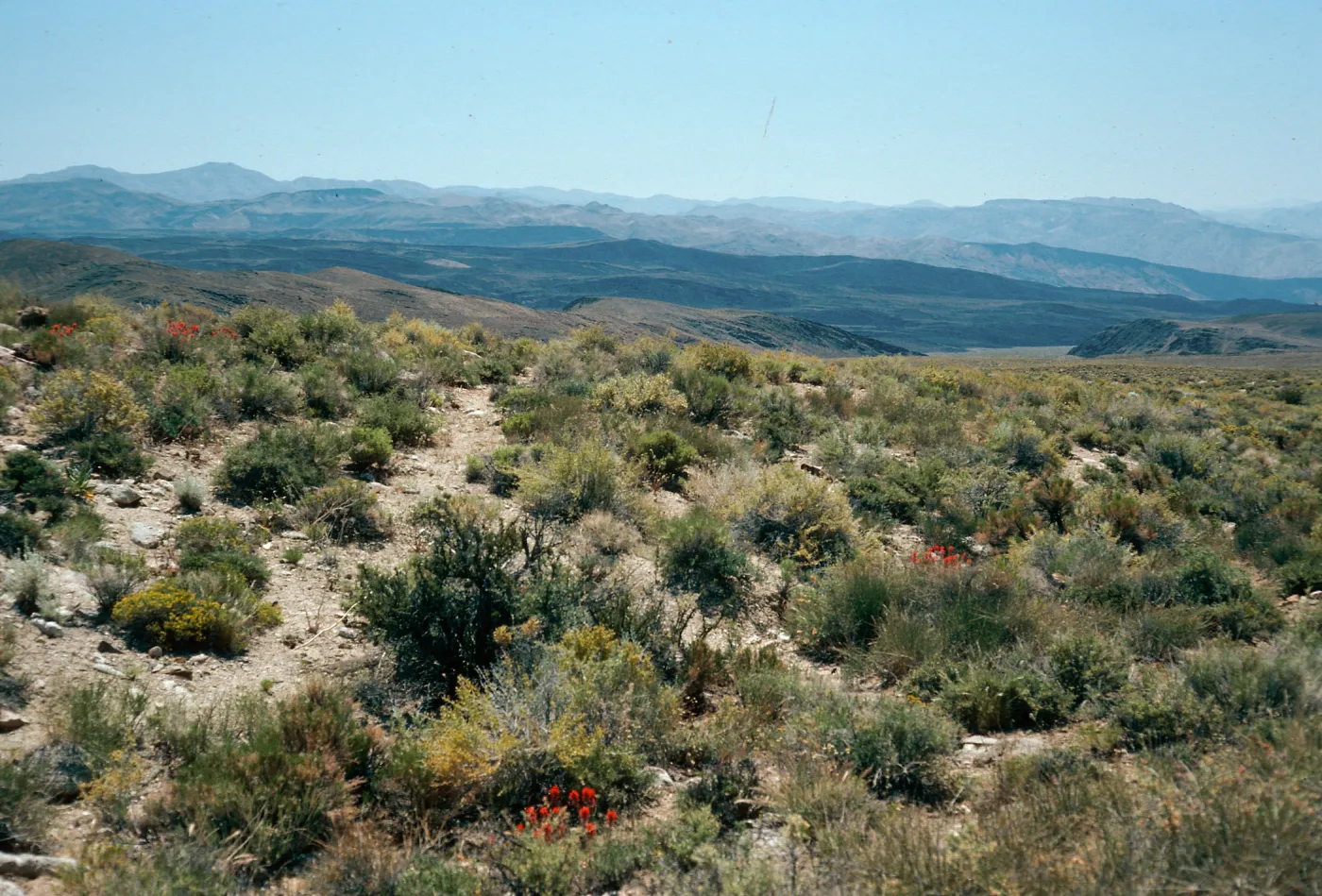 Saline Valley, North end, Northern Mojave Desert