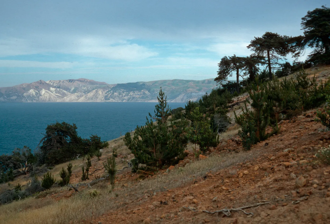 East of Twin Canyon, Santa Cruz Island