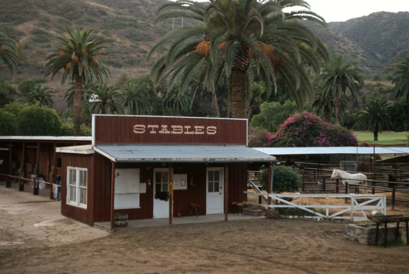Avalon Stables Santa Catalina Island