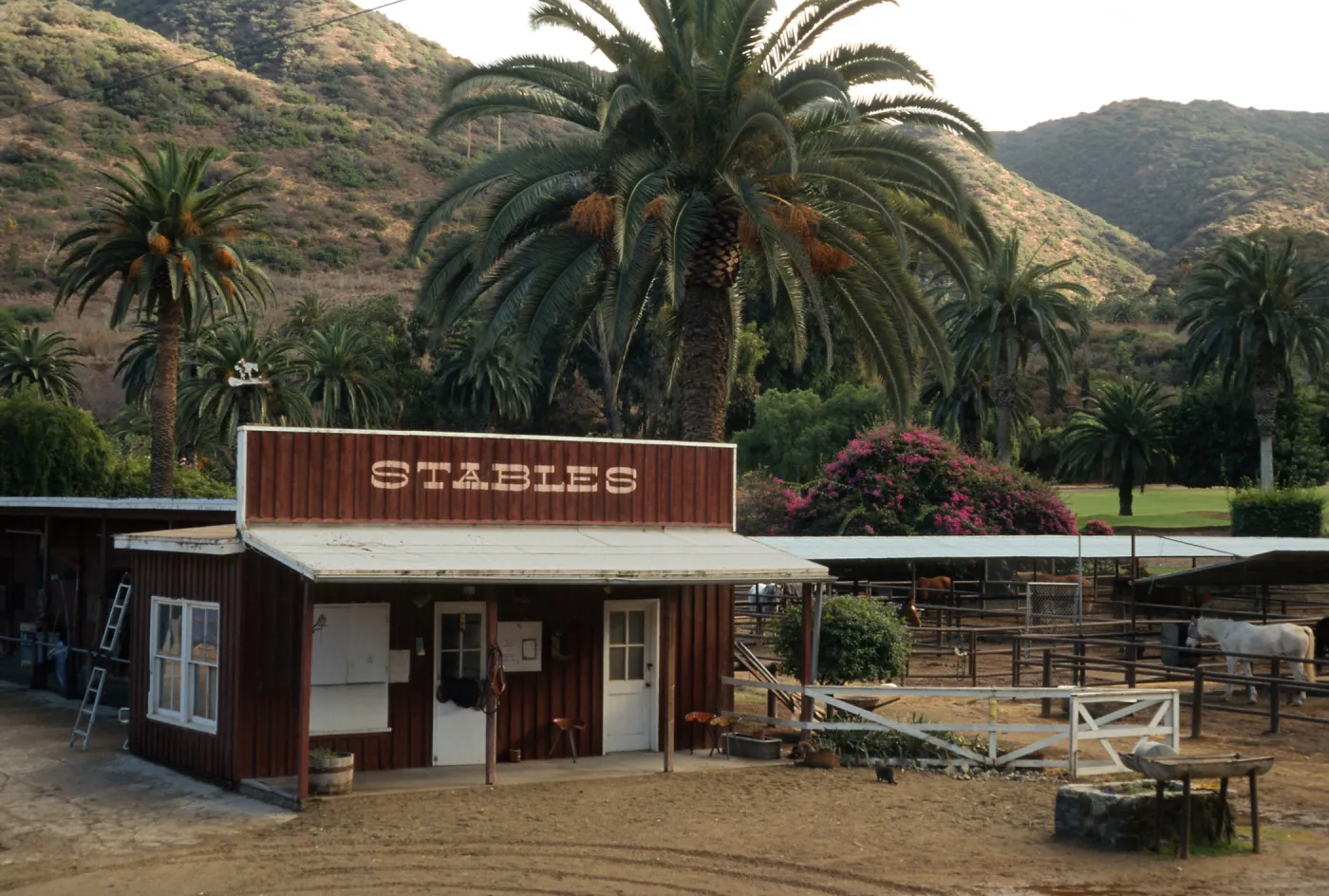 Avalon Stables Santa Catalina Island