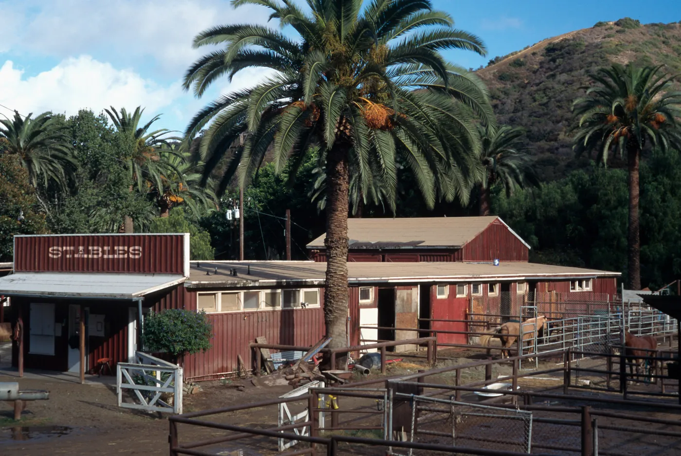 Avalon Stables Santa Catalina Island