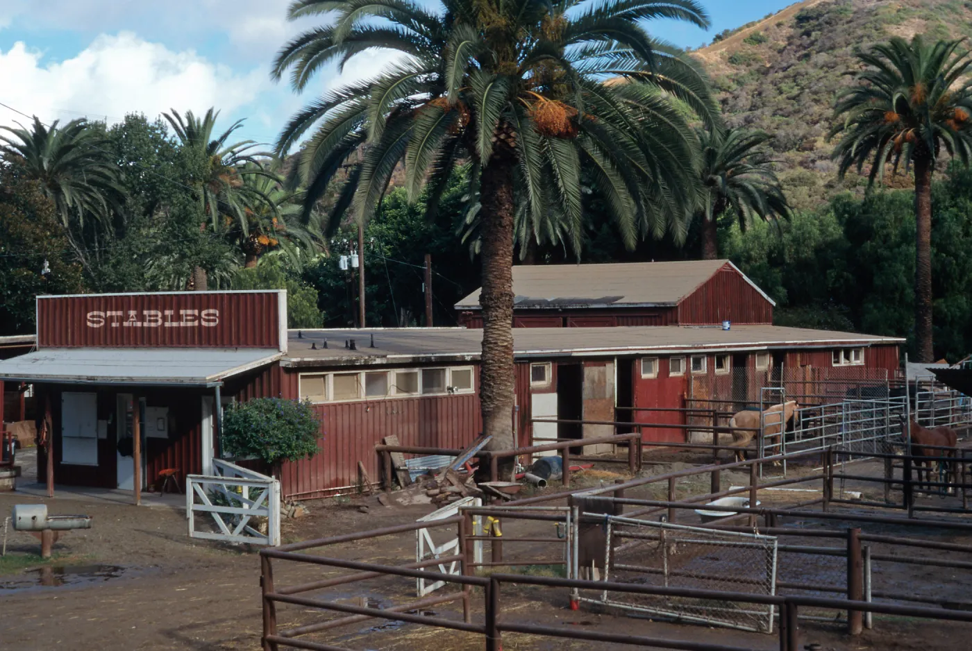 Avalon Stables Santa Catalina Island