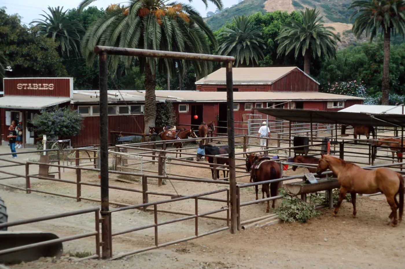 stables, Avalon Canyon, Santa Catalina Island