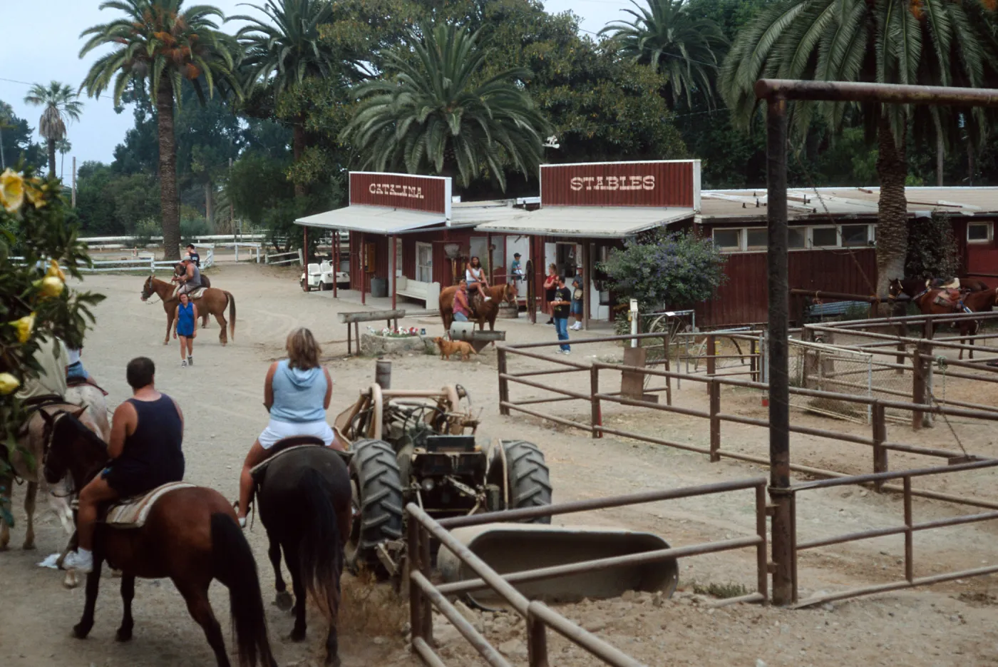stables, Avalon Canyon, Santa Catalina Island