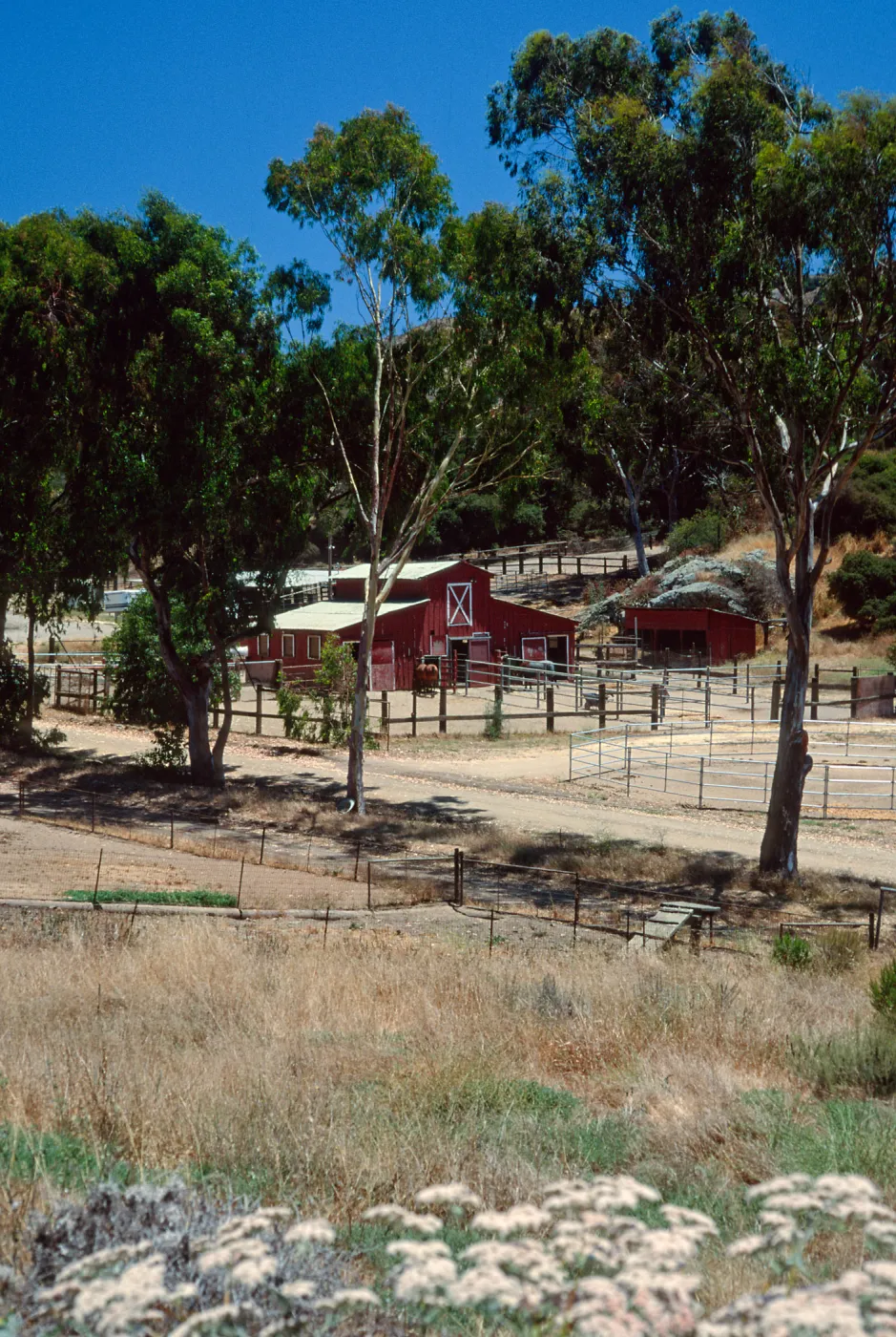 stables, Middle Ranch, Santa Catalina Island