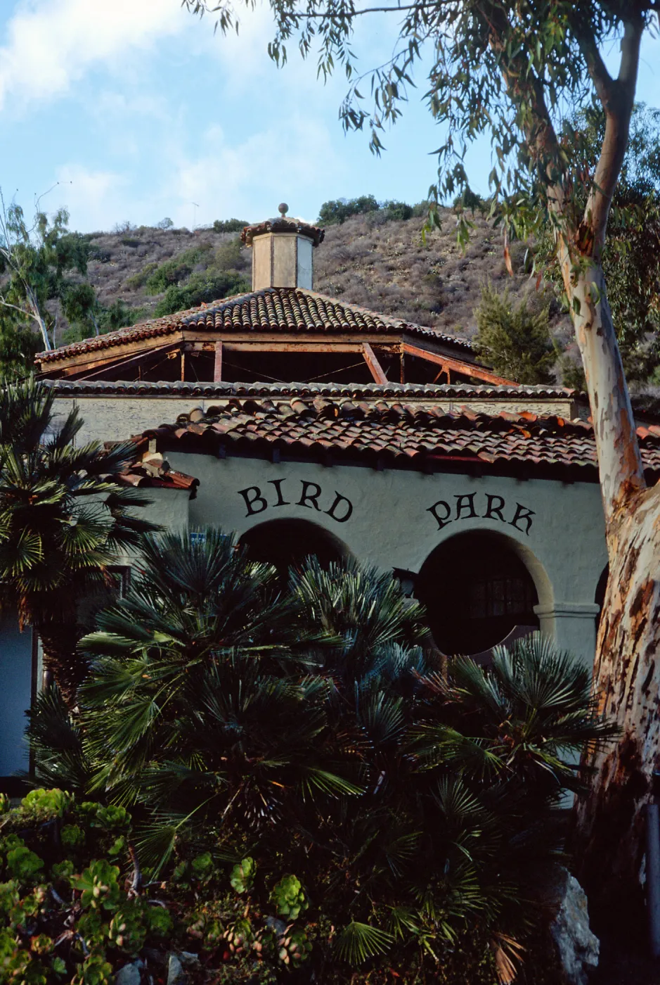 Bird Park, Avalon Canyon, Santa Catalina Island