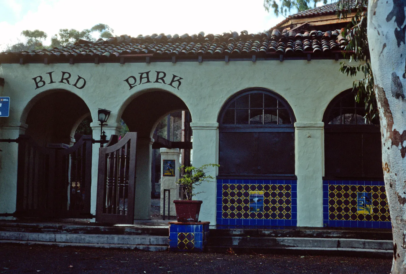 Bird Park, Avalon Canyon, Santa Catalina Island