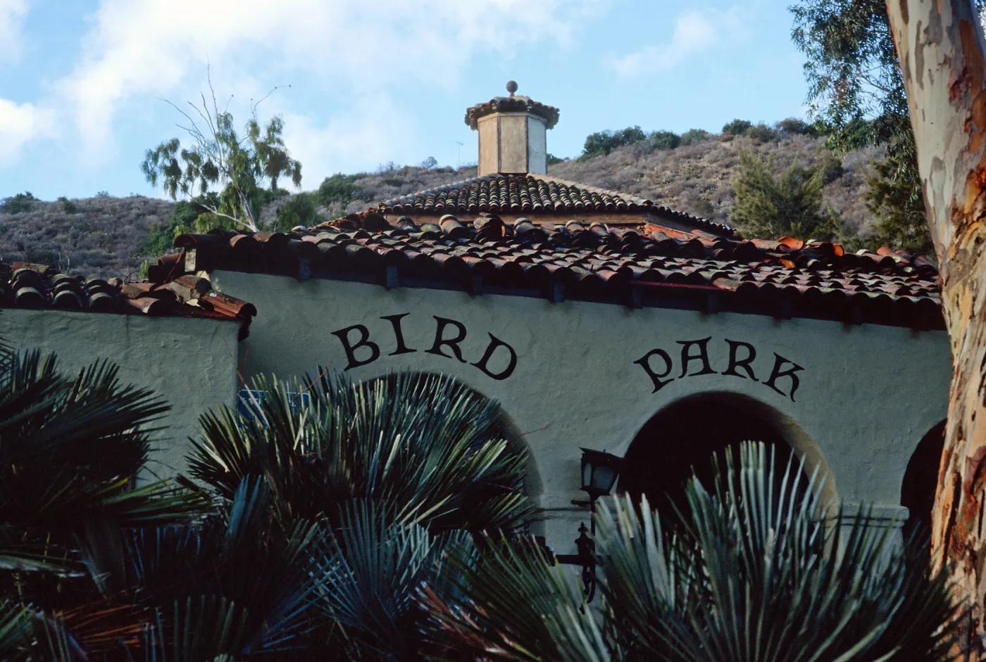 Bird Park, Avalon Canyon, Santa Catalina Island