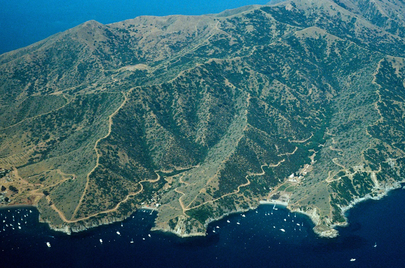 4th of July & Cherry Coves, Santa Catalina Island