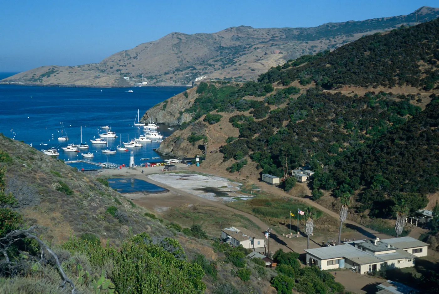 Cherry Cove, Santa Catalina Island