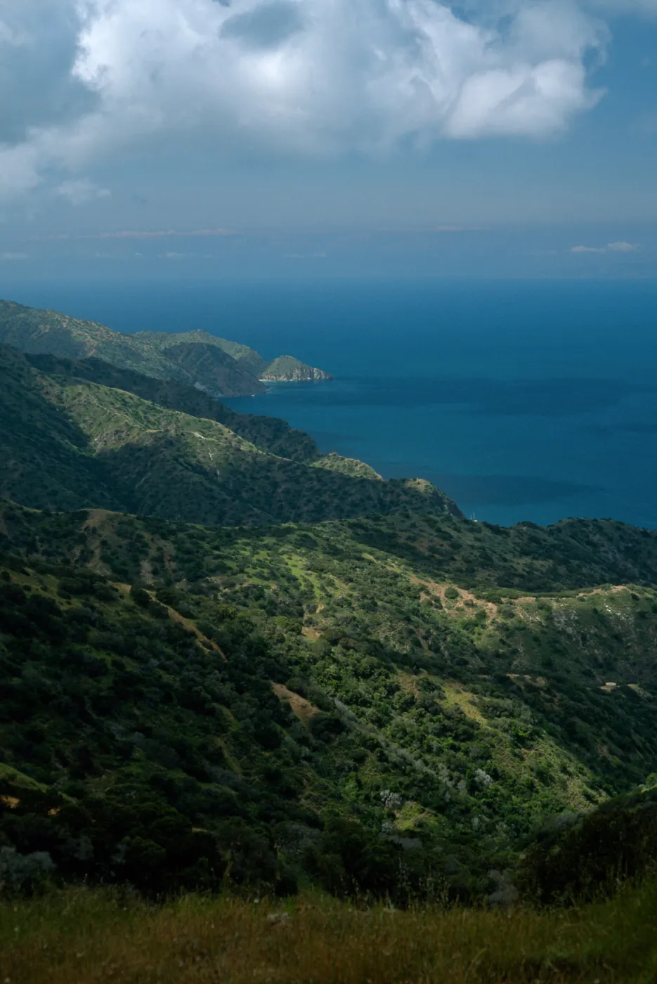 North side of Catalina Island, from Toyon Canyon, Santa Catalina Island