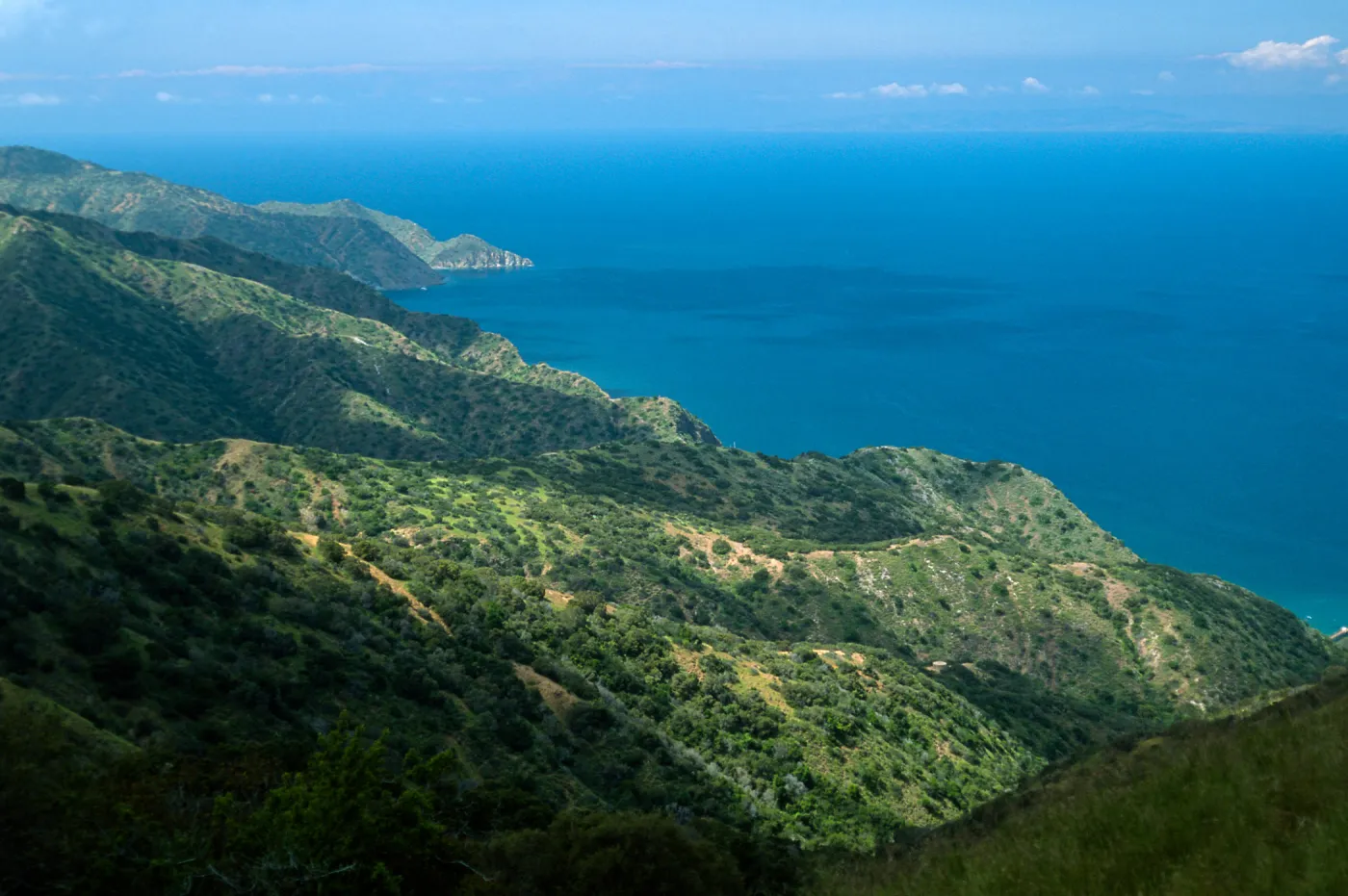 Northwest side of island, Santa Catalina Island