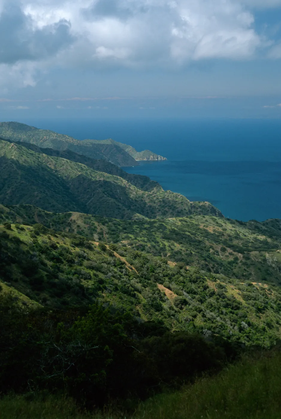 Northwest side of island, Santa Catalina Island
