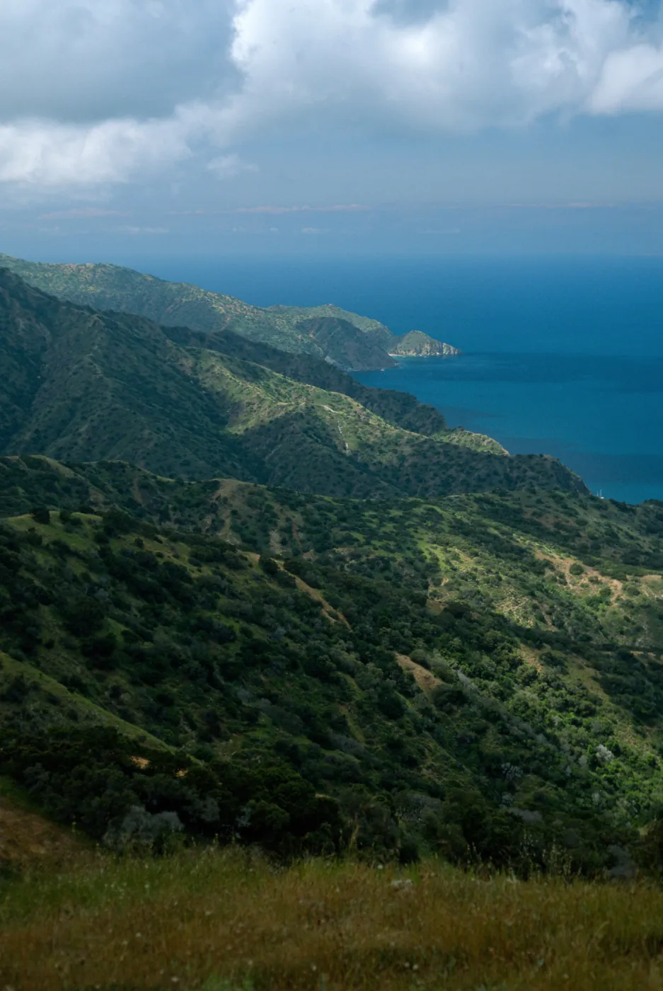 Northwest side of island, Santa Catalina Island
