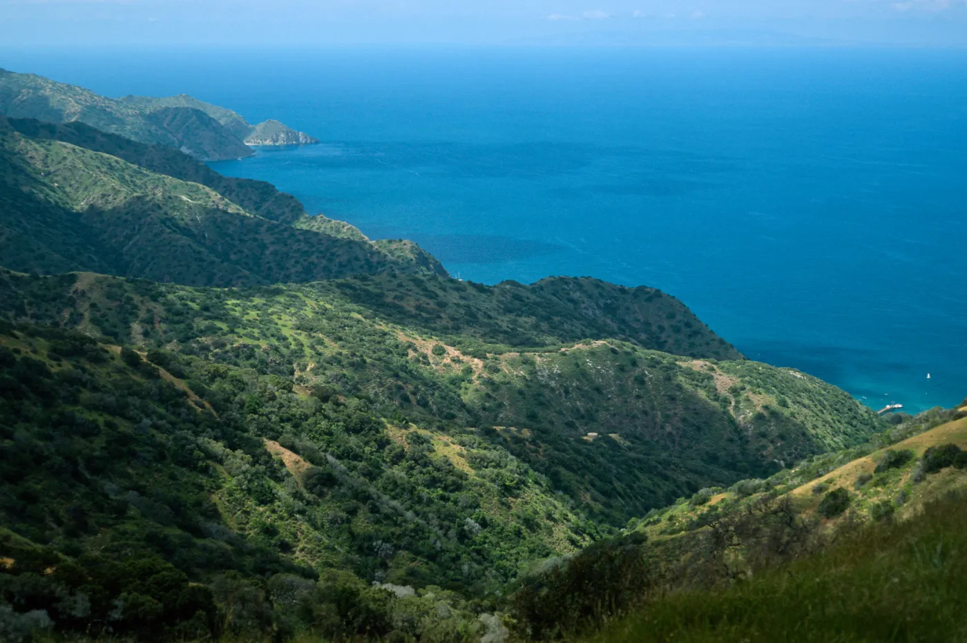 Northwest side of island, Santa Catalina Island
