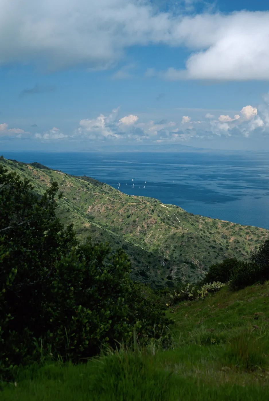 view of mainland, from Toyon Bay Road, Santa Catalina Island