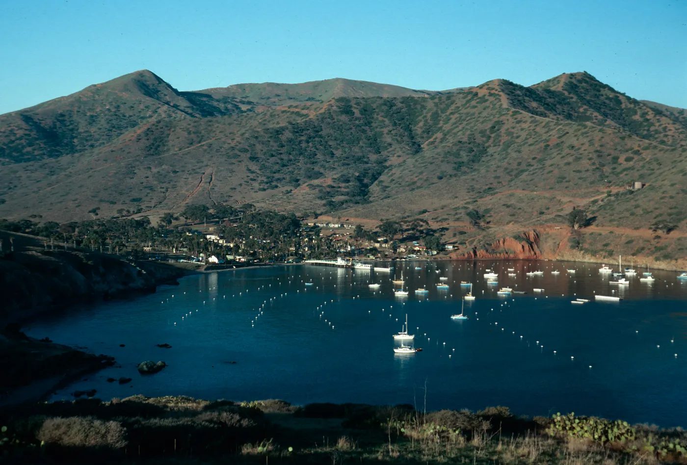 Isthmus Cove, Santa Catalina Island