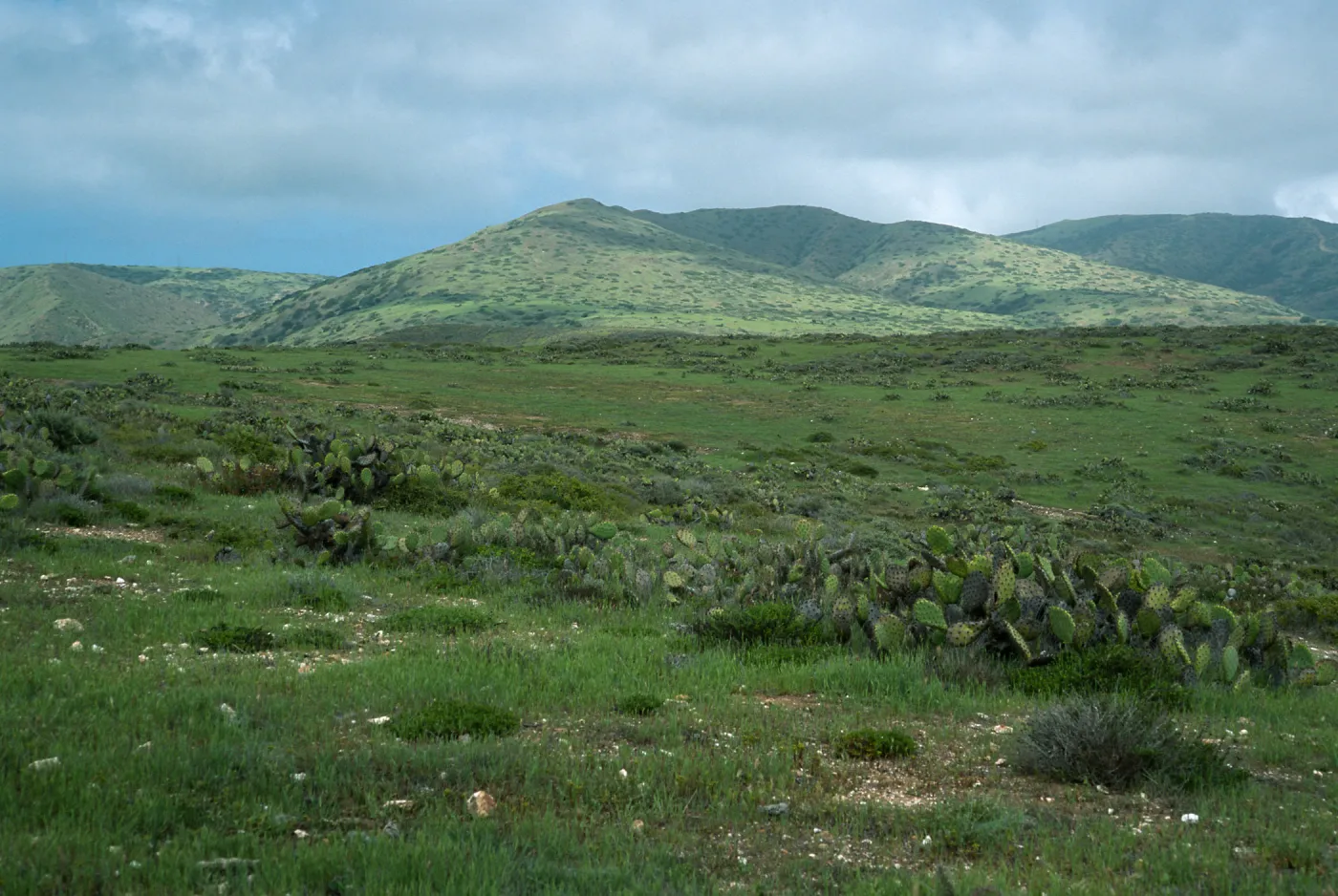 Northwest of Little Harbor, Santa Catalina Island