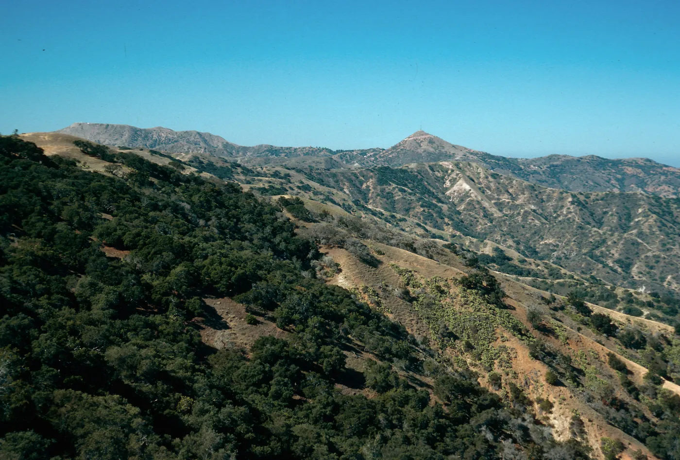 Orizaba (left)), Blackjack Peak, looking West, Santa Catalina Island
