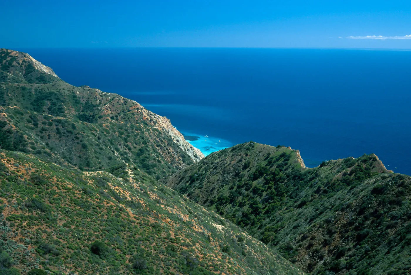 Palisades from Lone Tree Point, Santa Catalina Island