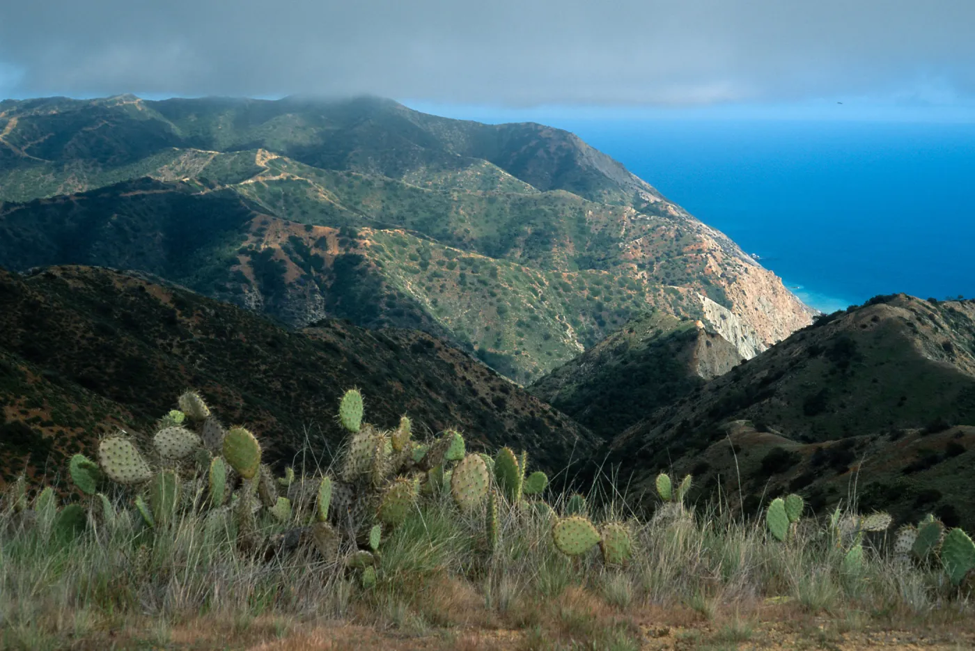 looking towards Palisades from Lone Tree Point, Santa Ctalina Island