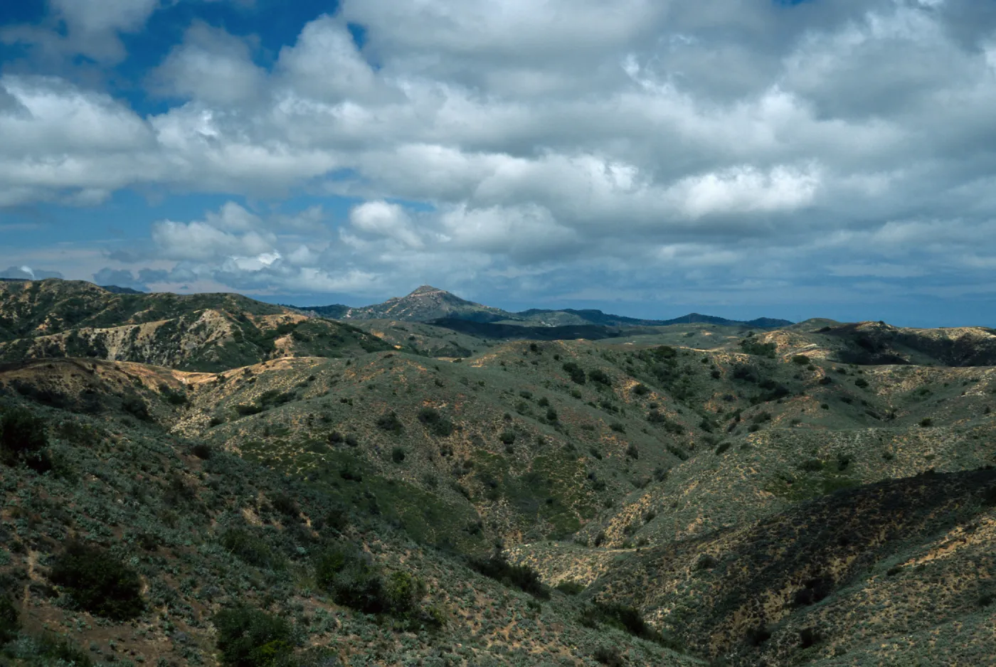 view of Blackjack Peak from Pacific Divide, Santa Catalina Island