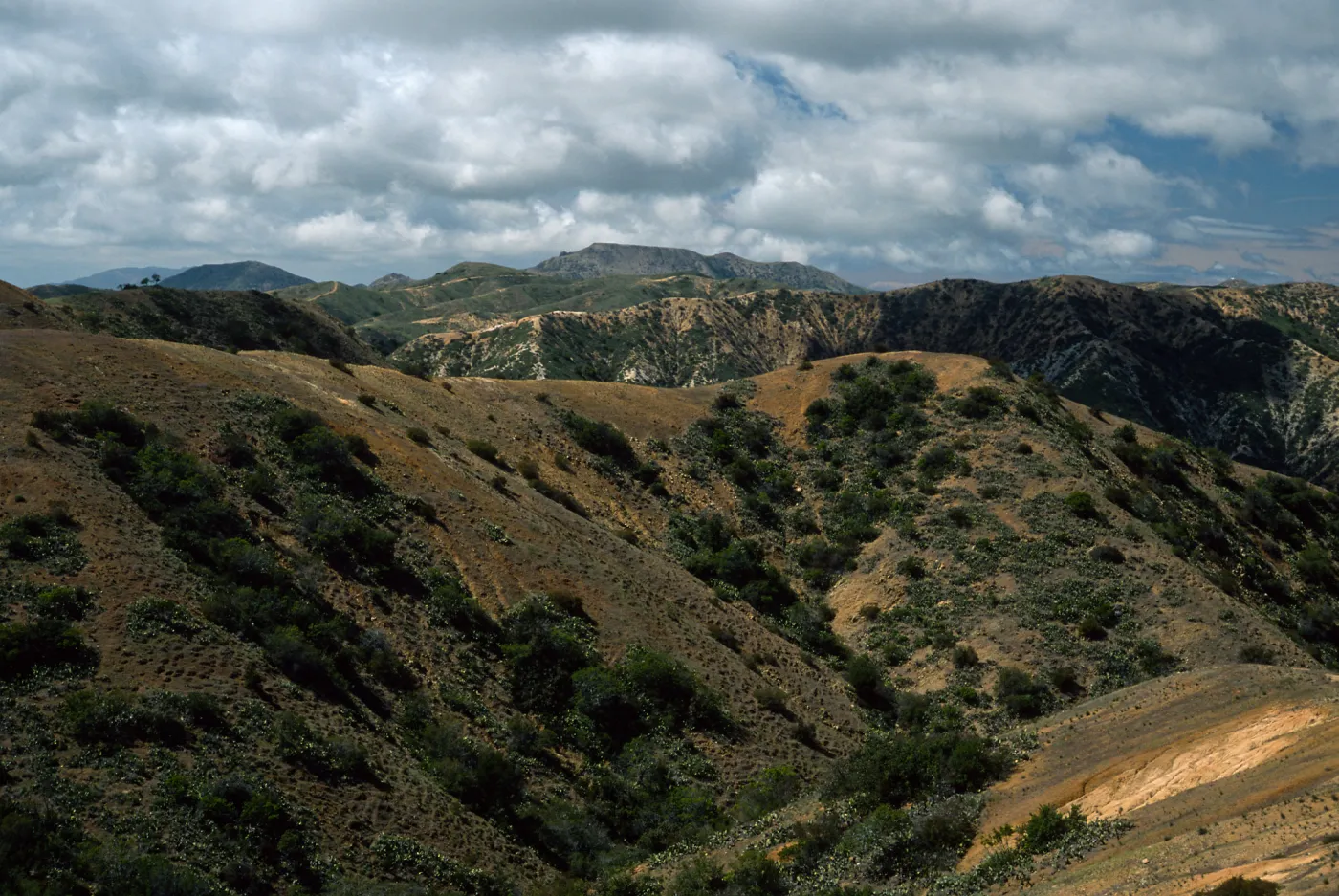 Orizaba Peak (in center) from road to Lone Tree Point, Santa Catalina Island