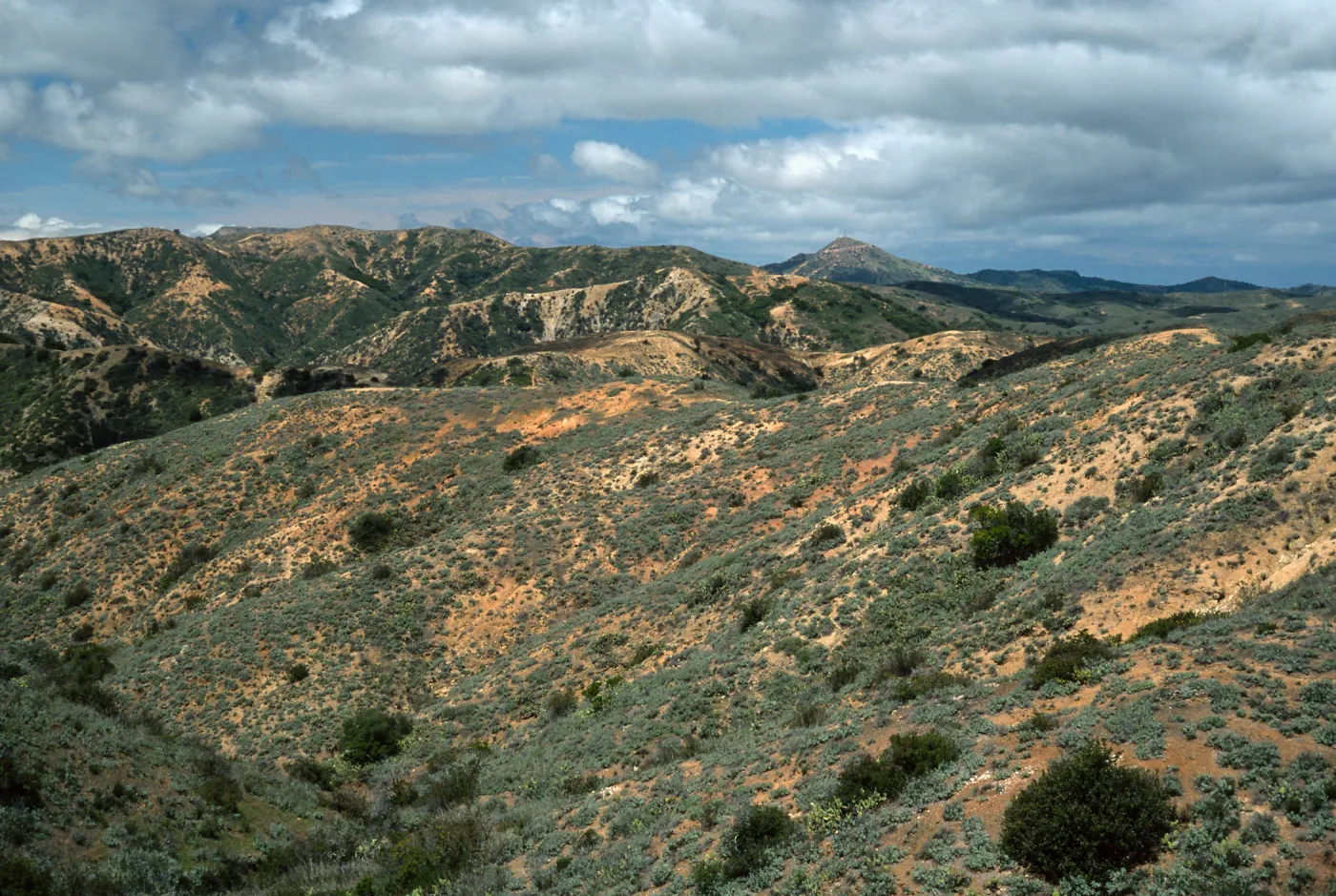 Orizaba (left) & Blackjack Peaks (center) from Divide Road, Santa Catalina Island