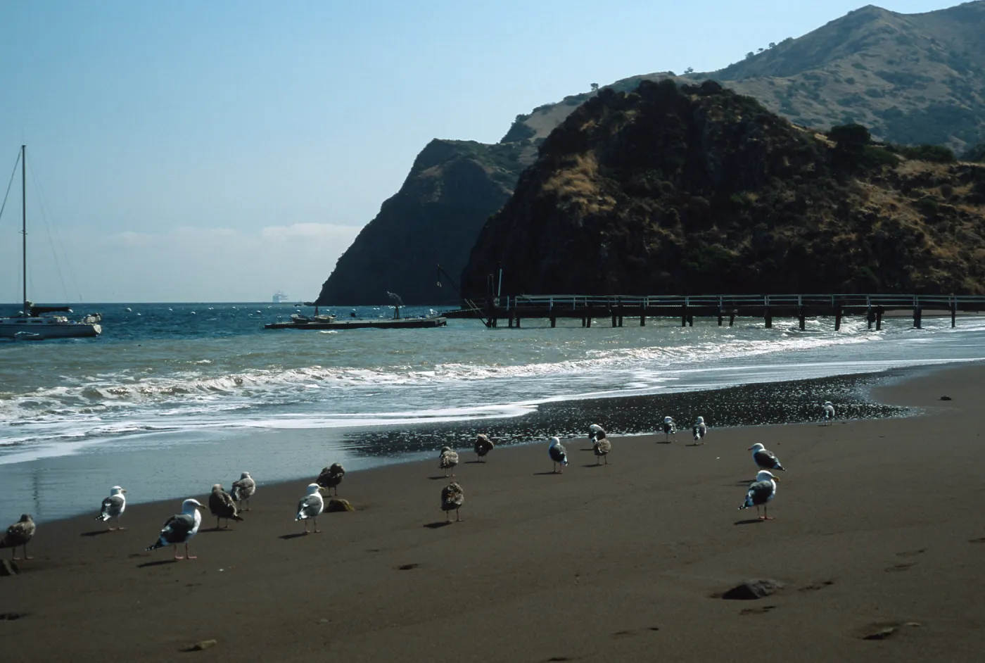 Whites Landing, Santa Catalina Island