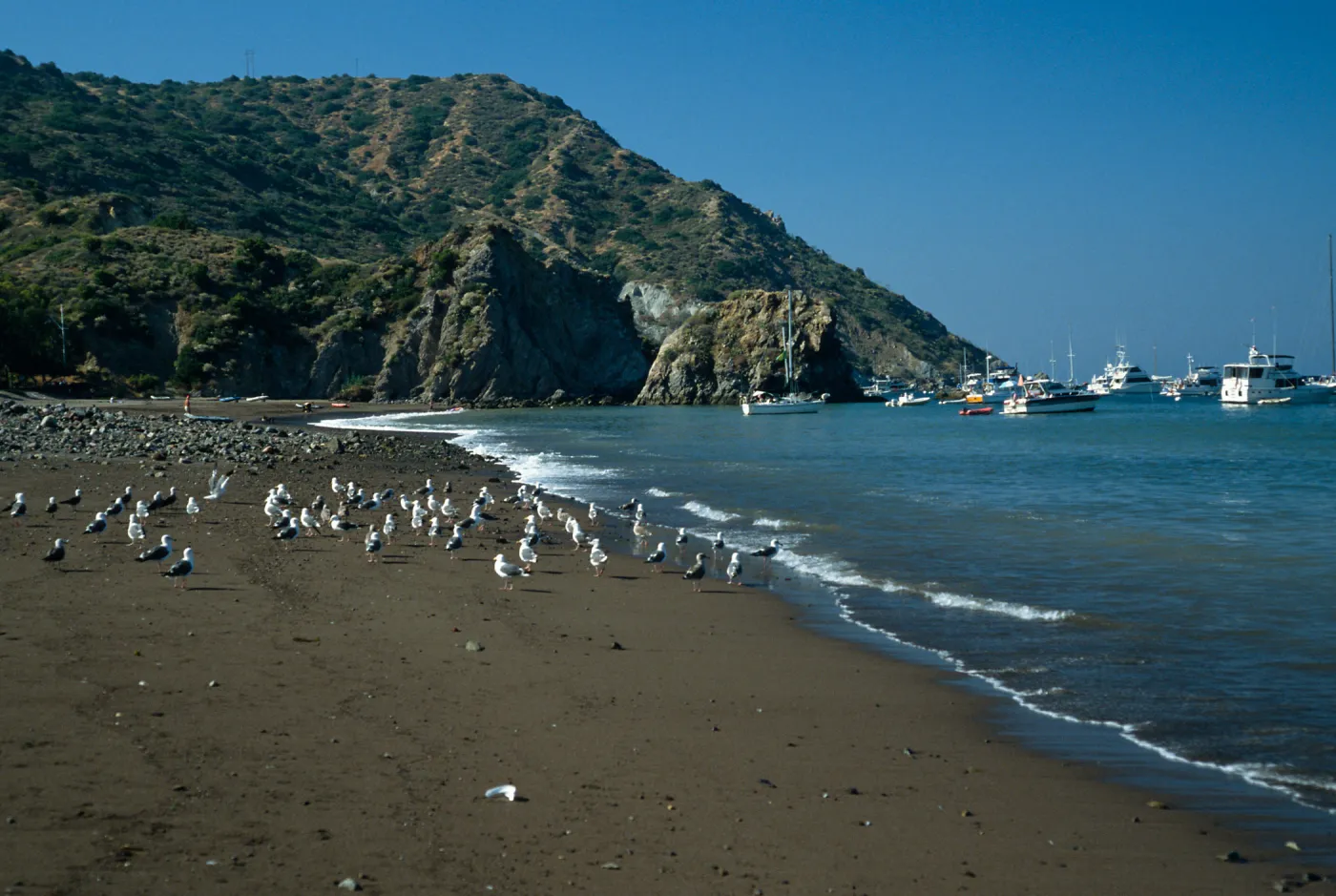 Whites Landing, Santa Catalina Island