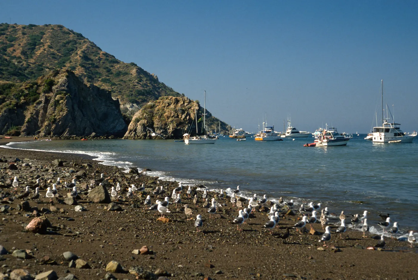 Whites Landing, Santa Catalina Island