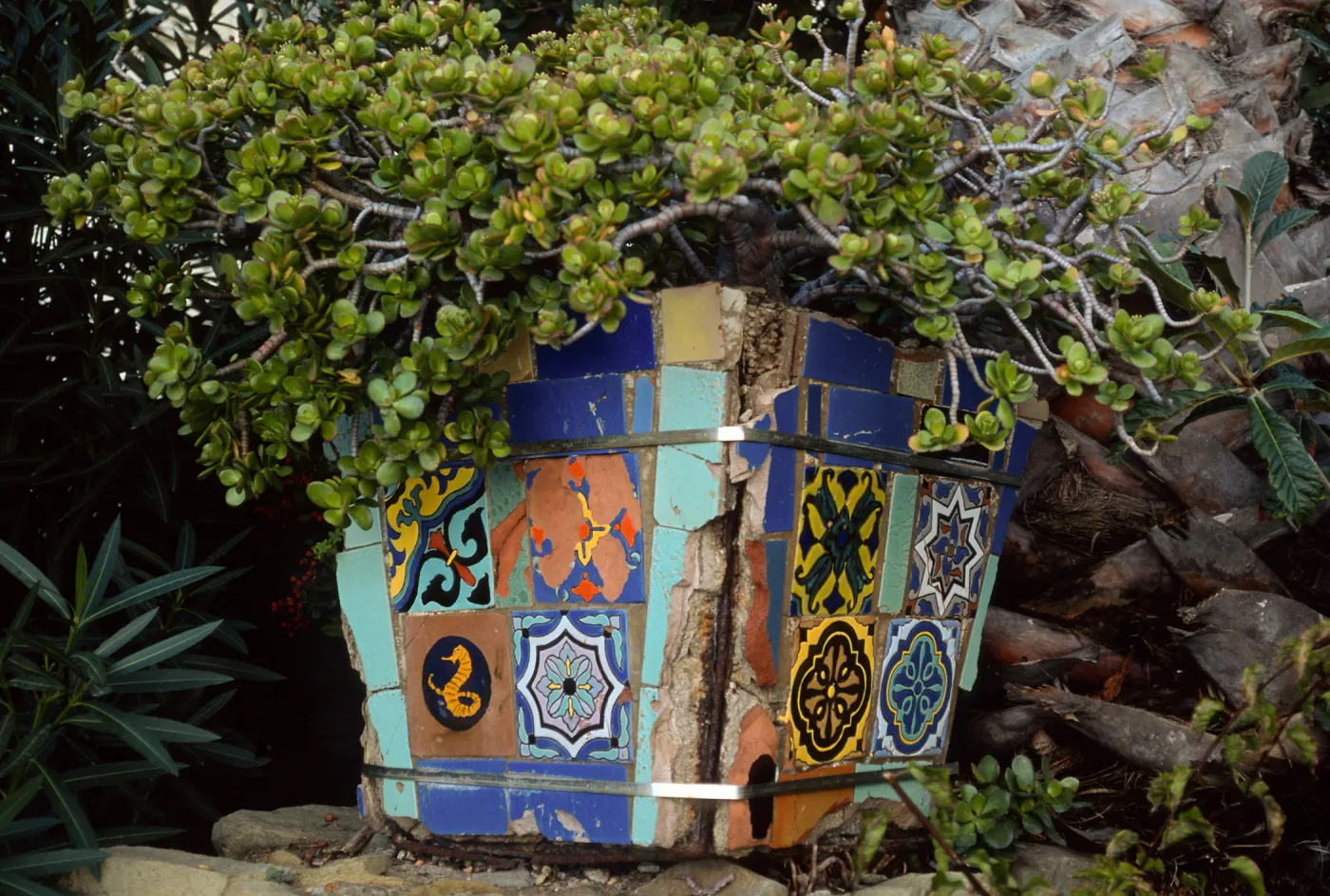 tile planter, Avalon, Santa Catalina Island