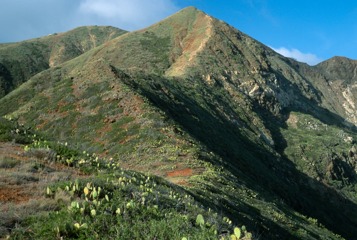 Southwest side, near Δ “Granite” ridge, Santa Catalina Island