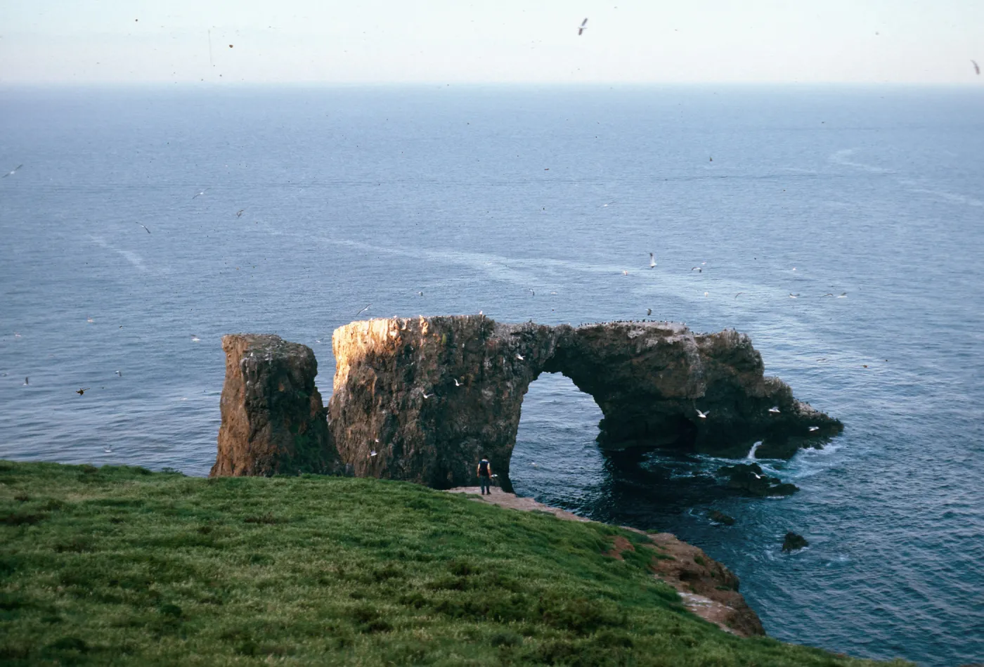 Arch Rock from slope N-E of lighthouse, East Anacapa Island