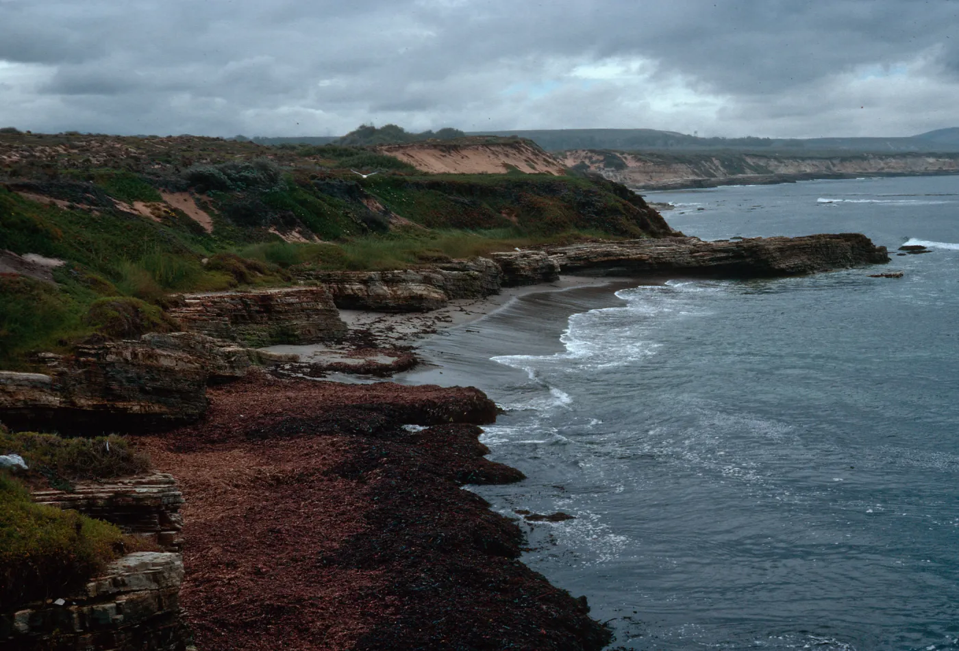coastline, end of Spur Road, Vandenberg AFB