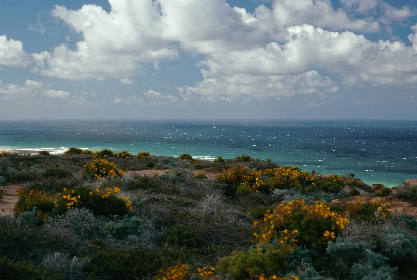 North shore, Northwest of airfield, San Nicolas Island