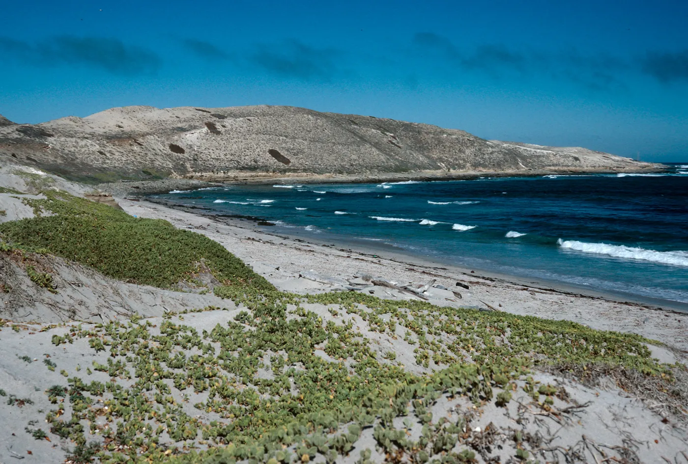 Red Eye Beach, San Nicolas Island