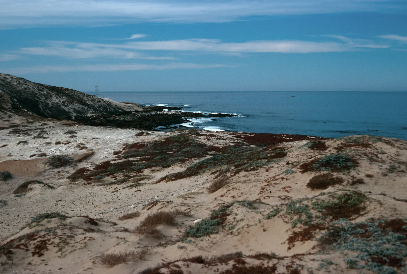 dunes, North side of Vizcaino Point, from cormorant blind, San Nicolas Island