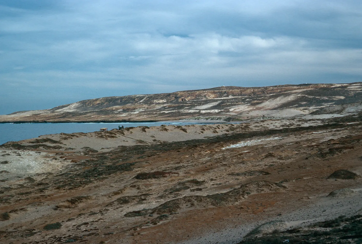 dunes, West of Red Eye Beach, San Nicolas Island