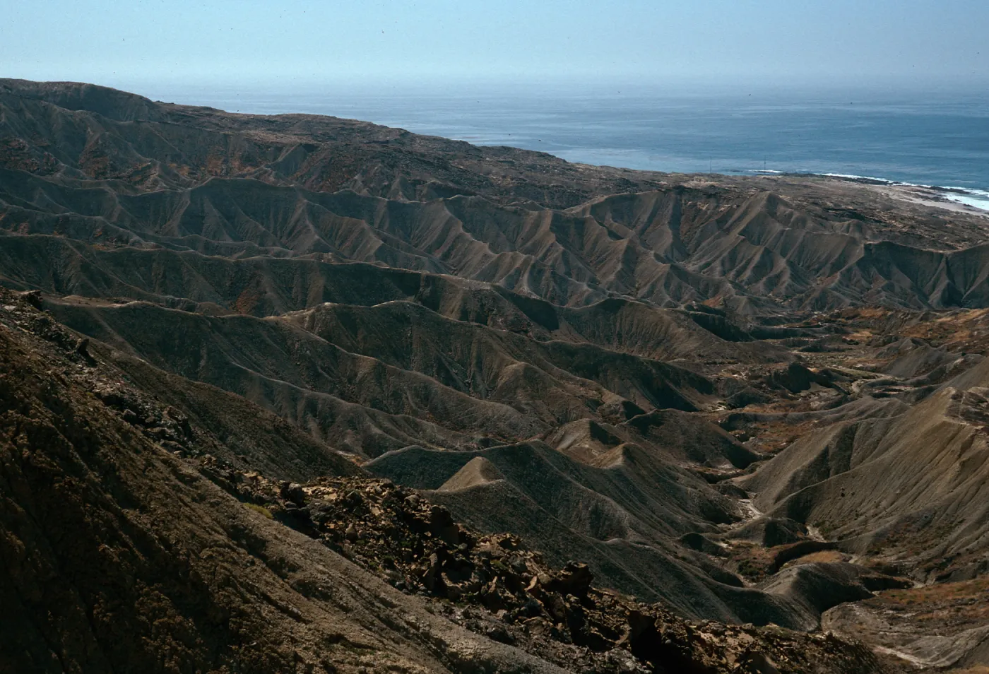 drainage, East of Theodolite Road, San Nicolas Island