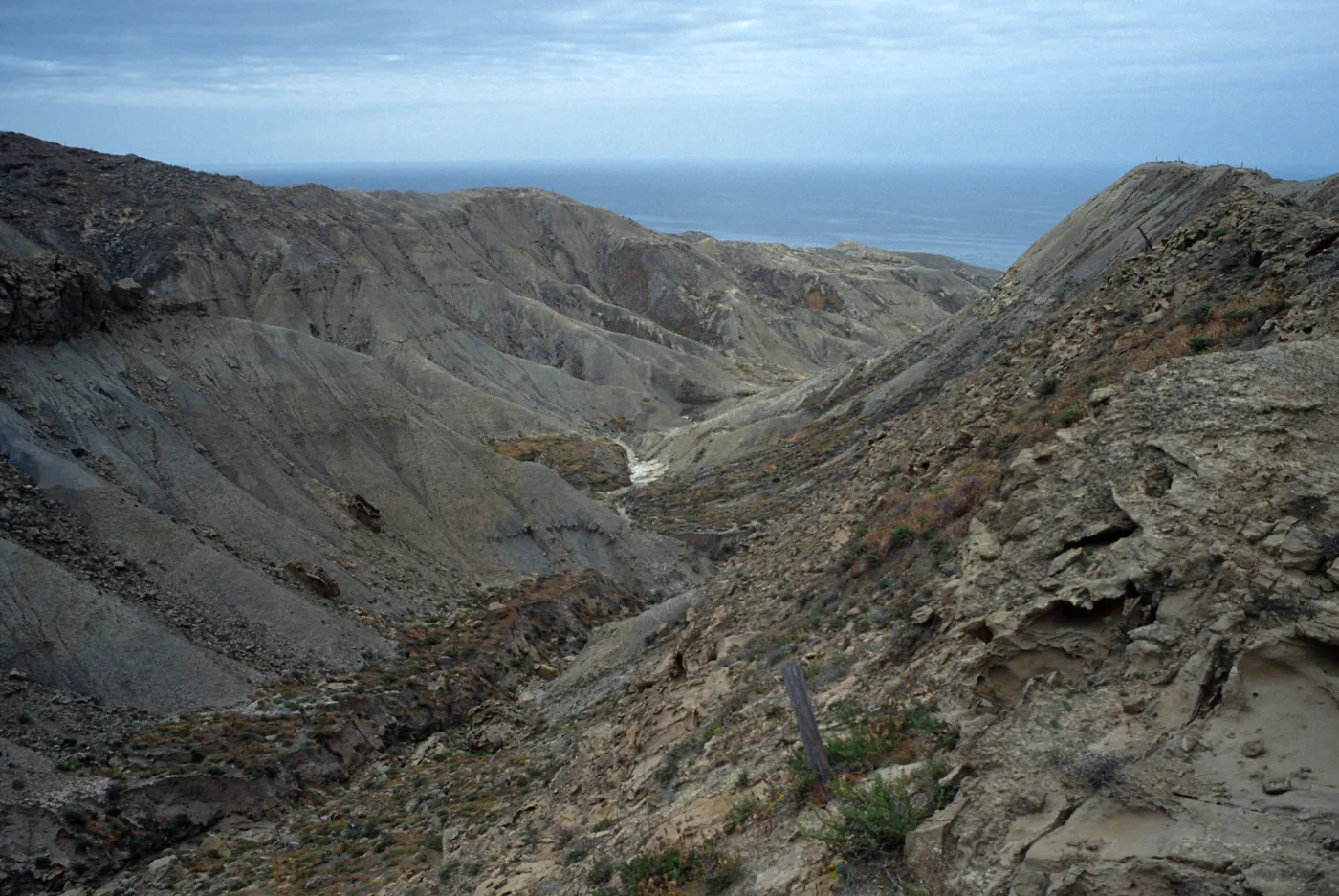 1st canyon, West of South range marker poles, San Nicolas Island