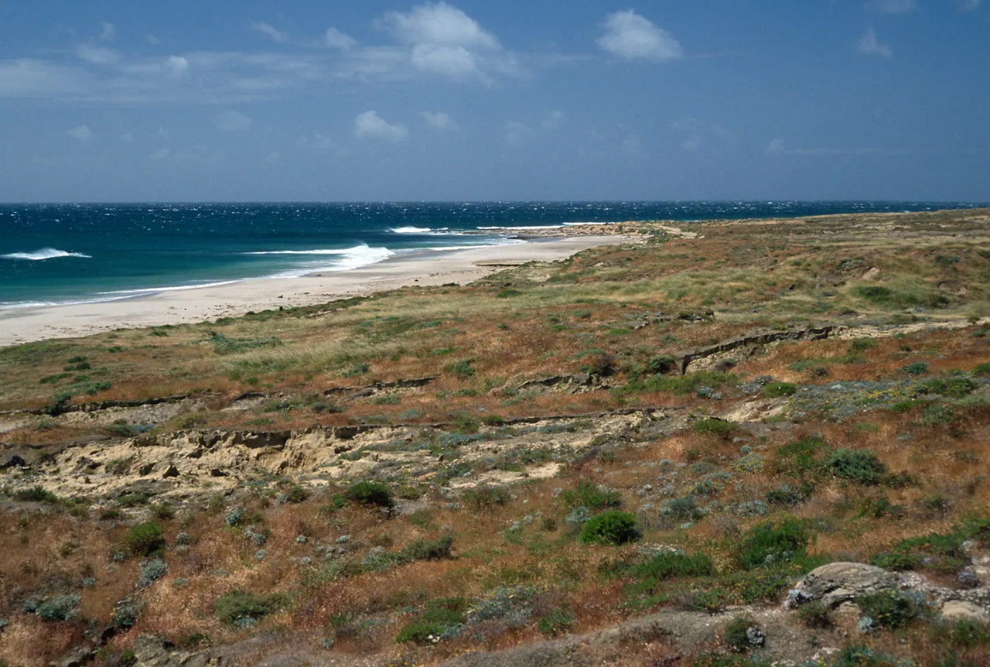 coastal slopes, Daytona Beach, San Nicolas Island