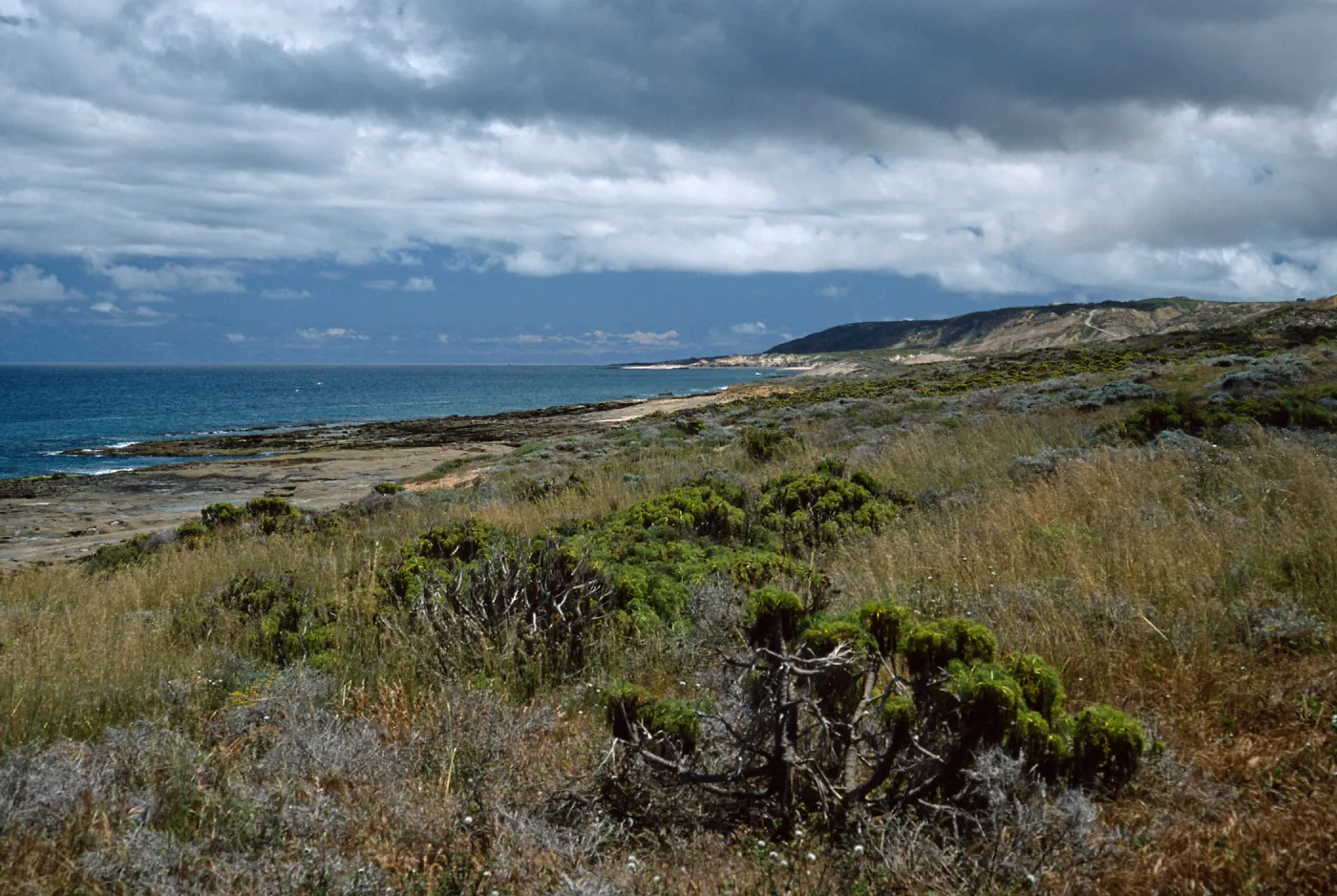 coastline at Balloon Launch Building, San Nicolas Island