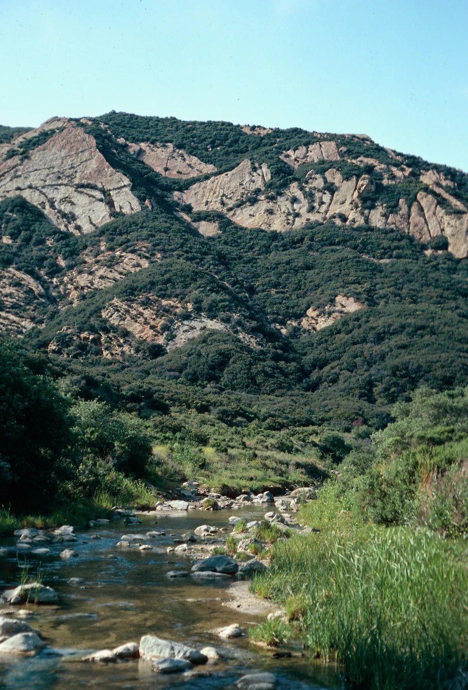 looking North from just West of Hwy 101- Gaviota rest area, Santa Barbara County