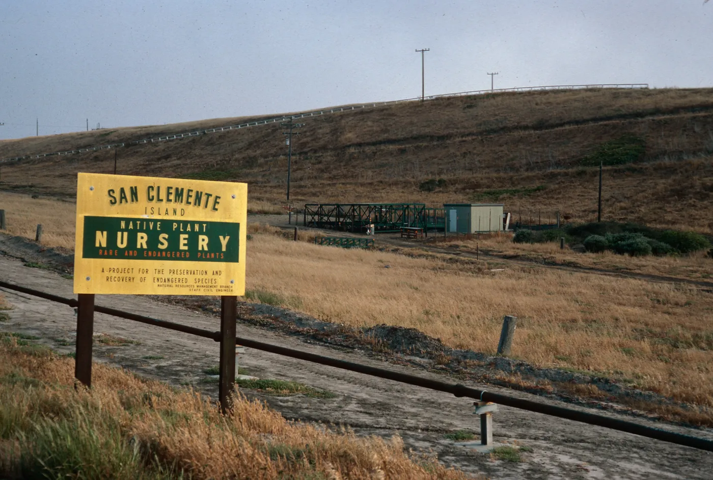 SCI Nursery, San Clemente Island