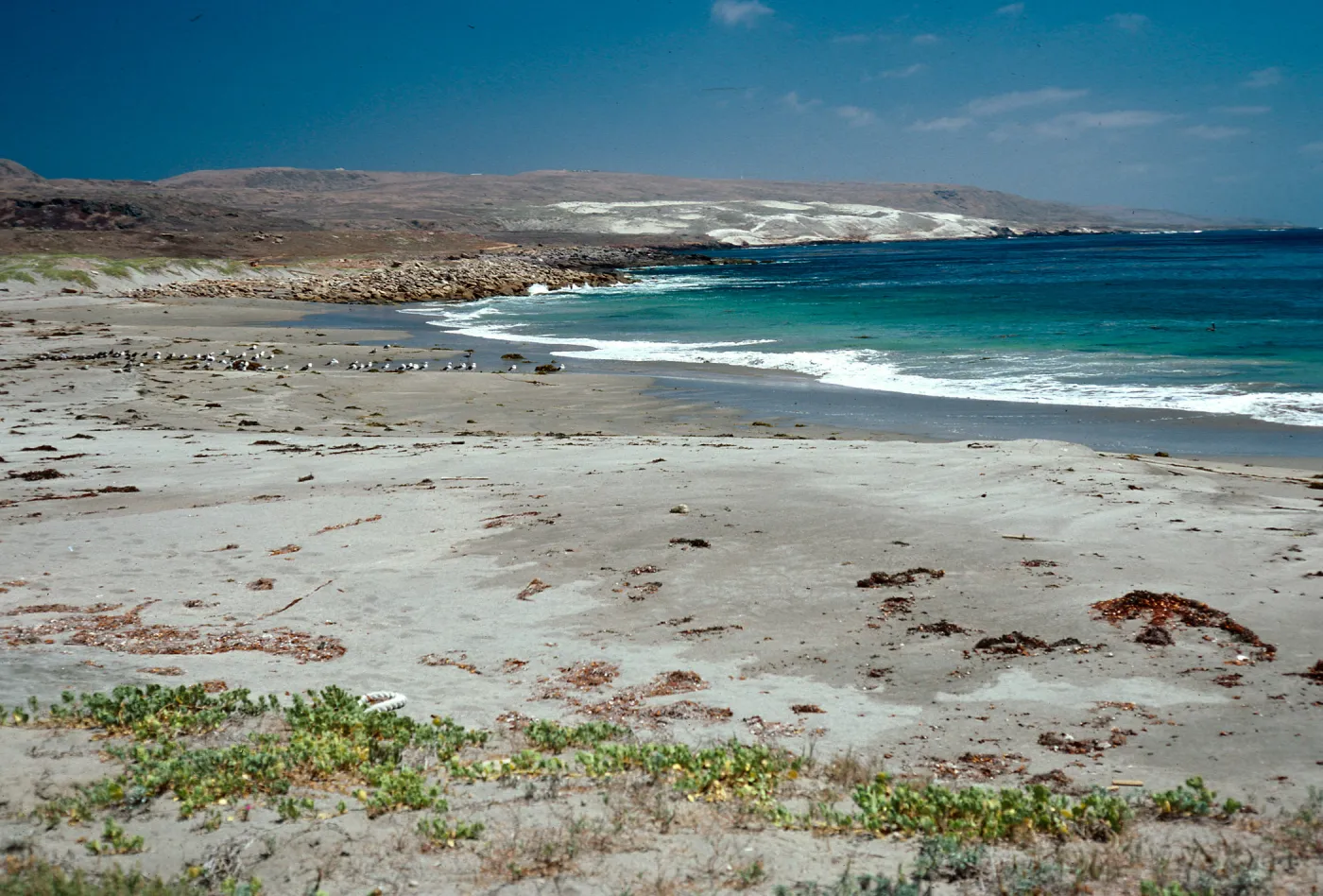 west beach, San Clemente Island